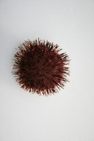 micro pom-pon bruin koker @ 100 stuks