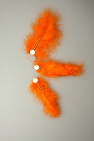 veertjes met plakker oranje ds. @ 150