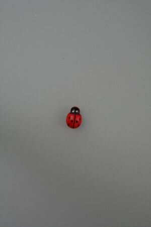 ladybirds sticker 1 cm ds @ 300