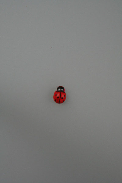ladybirds sticker 1 cm ds @ 300