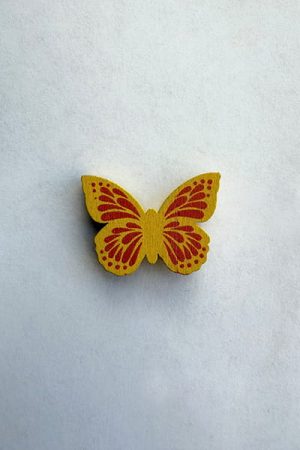 30239 Vlinder met plakker assorti